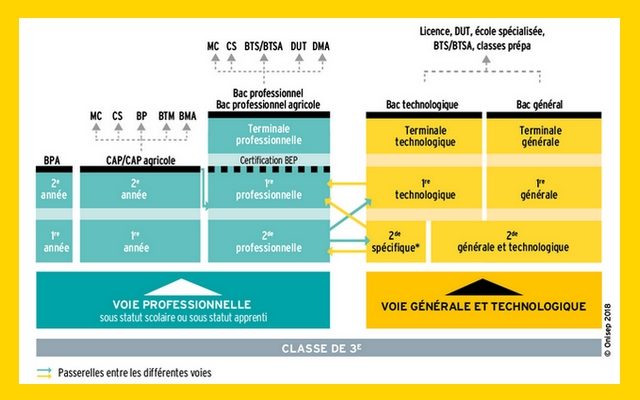 Que faire après la 3ème ?